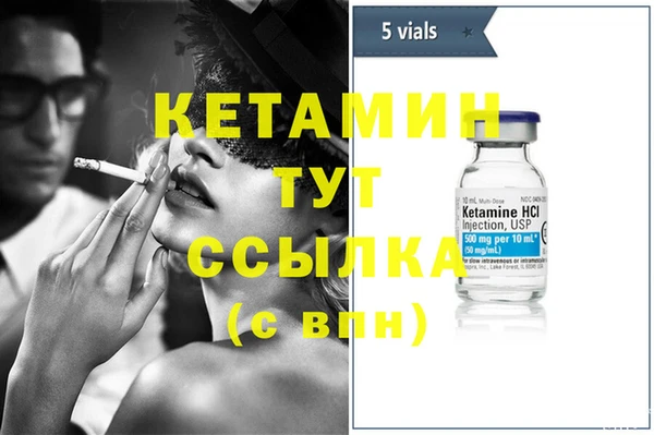 шишки Няндома