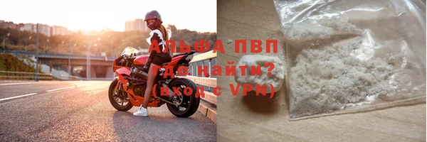 шишки Няндома