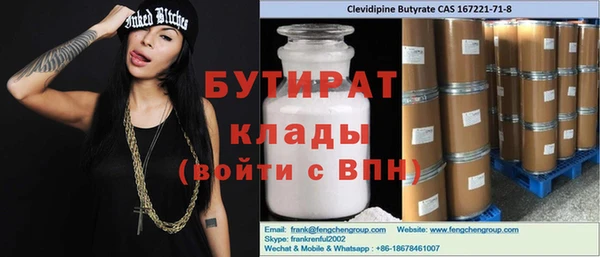 шишки Няндома