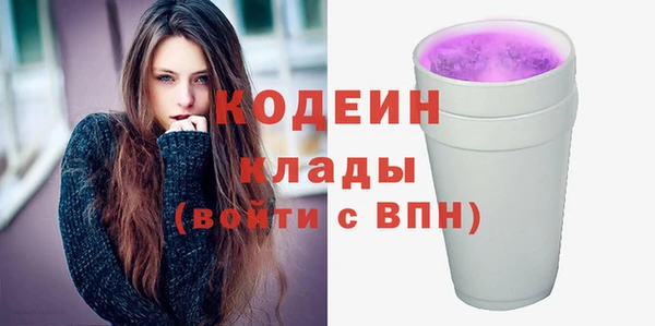 шишки Няндома