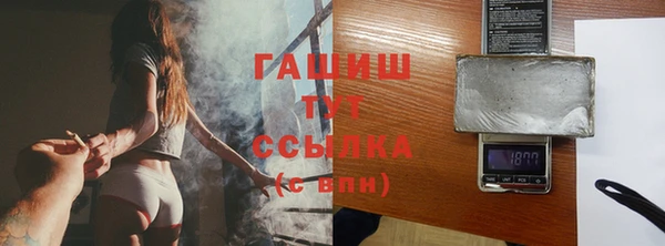 шишки Няндома