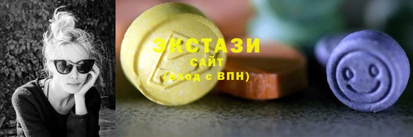 шишки Няндома