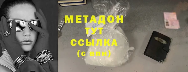 шишки Няндома