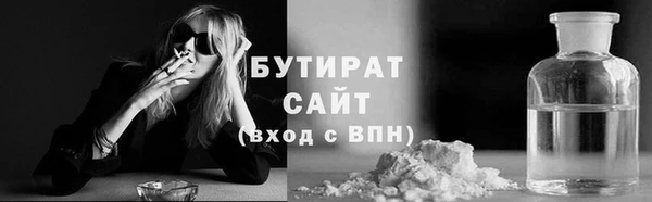 шишки Няндома
