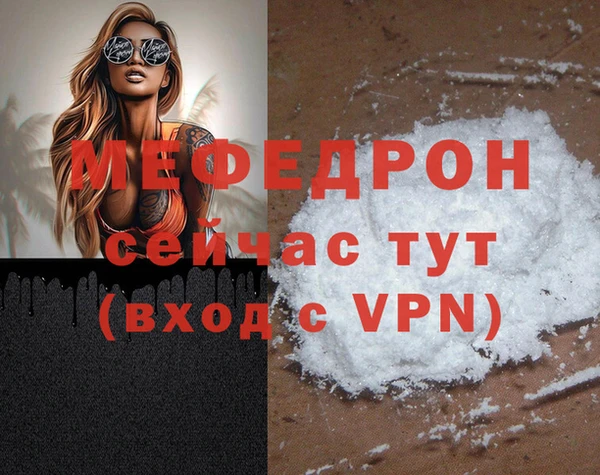 шишки Няндома