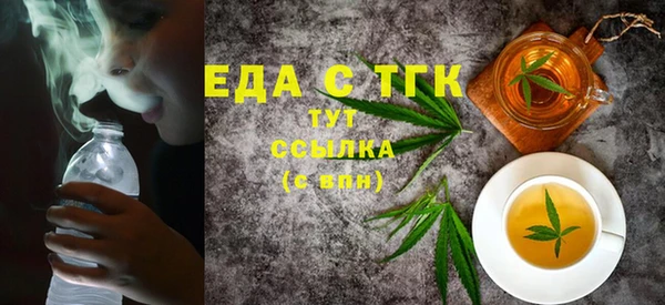 шишки Няндома