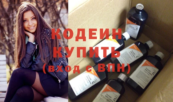 шишки Няндома