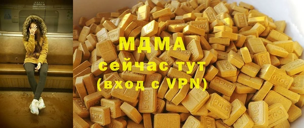 шишки Няндома