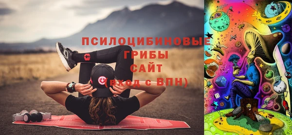 шишки Няндома