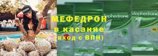 шишки Няндома