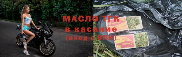 шишки Няндома