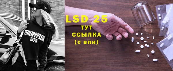шишки Няндома
