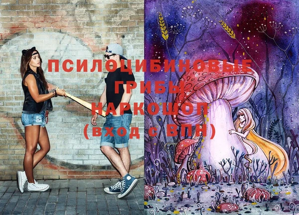 экстази Нязепетровск