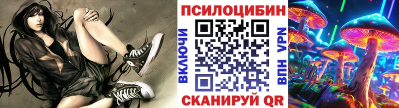 закладки  ОМГ ОМГ рабочий сайт  Псилоцибиновые грибы прущие грибы  Берёзовский 